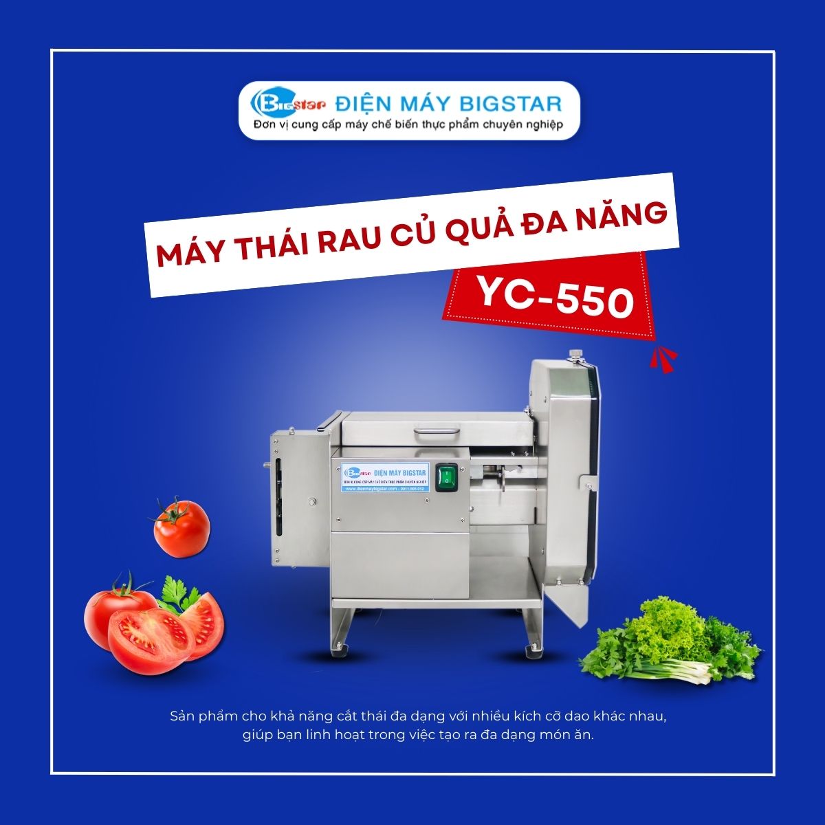Máy thái rau củ quả đa năng YC-550