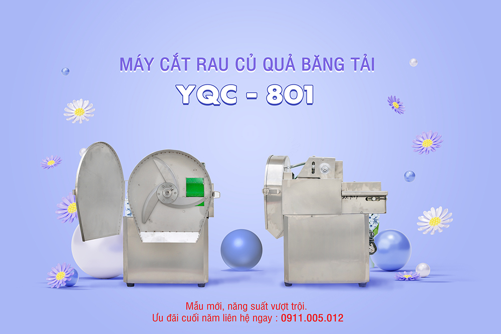 Máy cắt rau củ quả băng tải YQC801