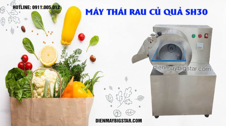 Máy thái rau củ quả SH30