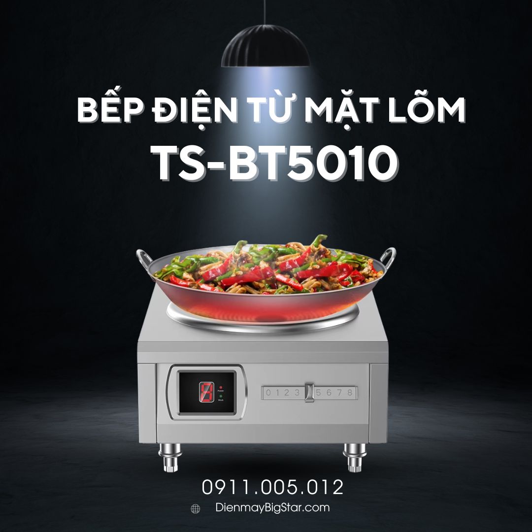 bếp điện từ mặt lõm