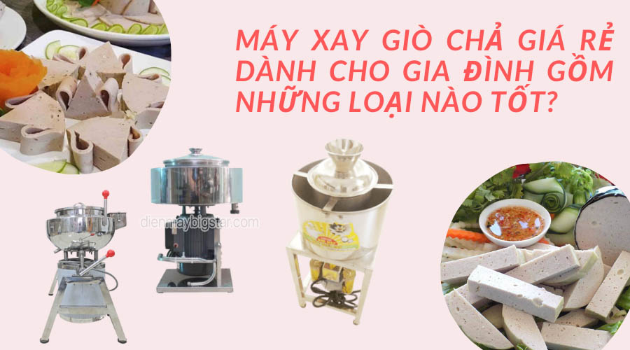 may-xay-gio-cha-gia-re-danh-cho-gia-dinh-gom-nhung-loai-nao-tot