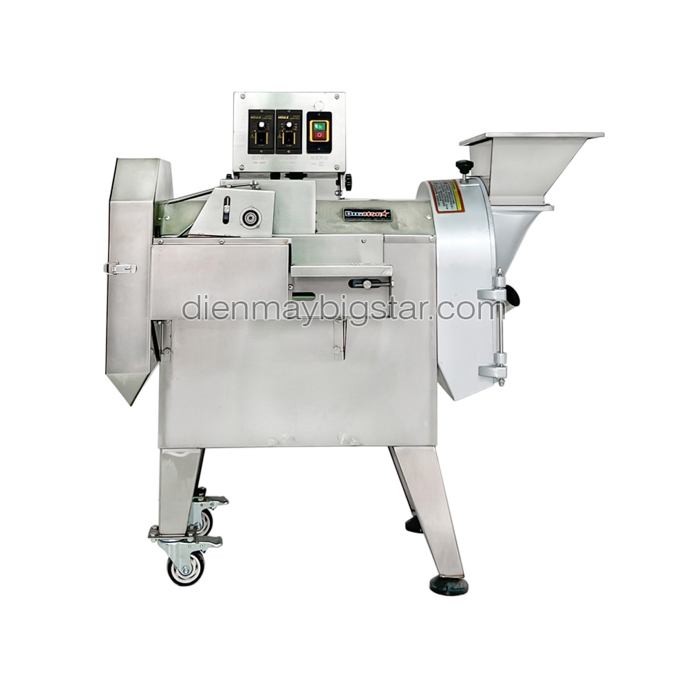 Máy thái rau củ quả đa năng YQC-803