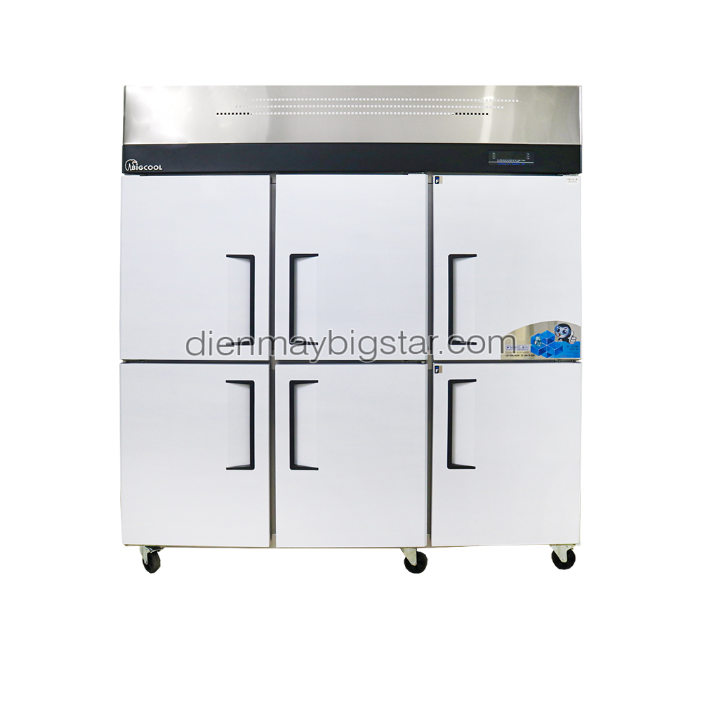 Tủ đông 6 cánh inox BigCool TD-1800CF