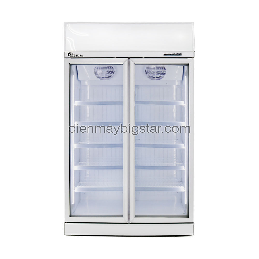 Tủ đông 2 cánh kính BigCool