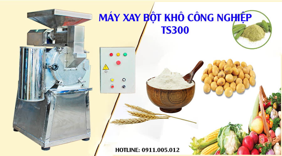 Máy xay bột khô công nghiệp TS300