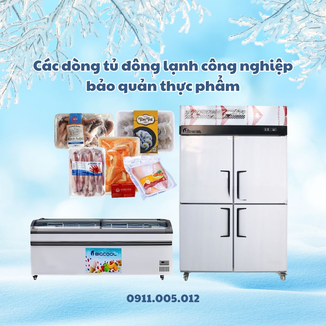 Các dòng tủ đông lạnh công nghiệp bảo quản thực phẩm