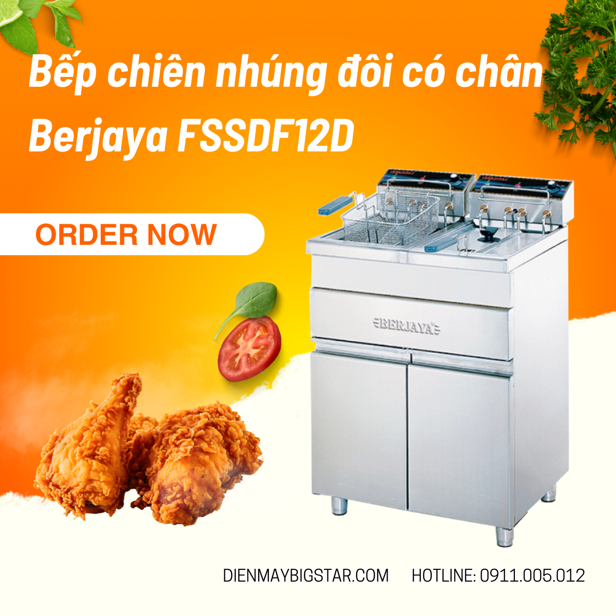 Bếp chiên nhúng công nghiệp FSSDF12D