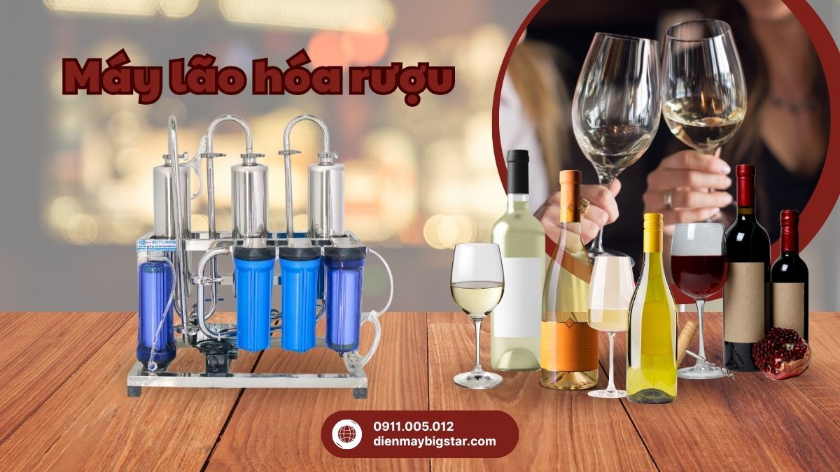 Máy lão hóa rượu