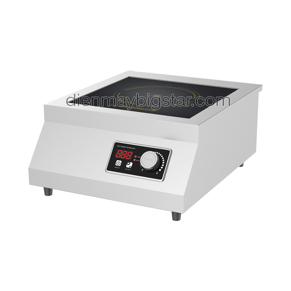 Bếp điện từ mặt phẳng TS-BT5003