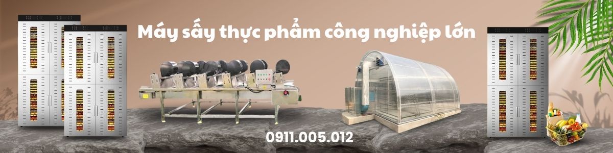 Máy sấy thực phẩm công nghiệp lớn