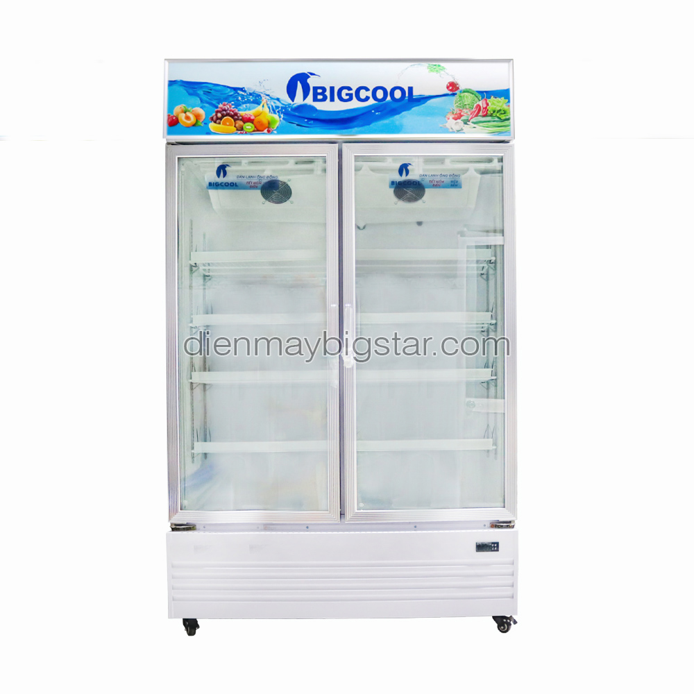 Tủ mát trưng bày hoa tươi 2 cánh