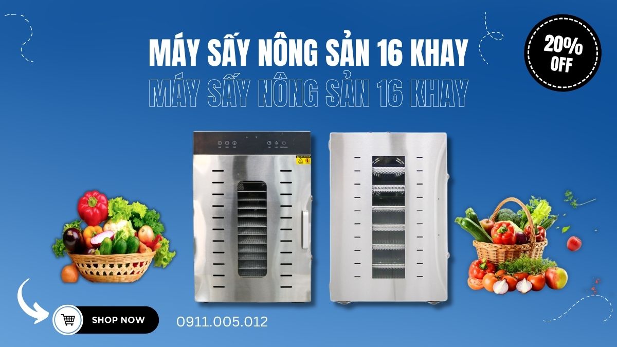 máy sấy nống sản 16 khay